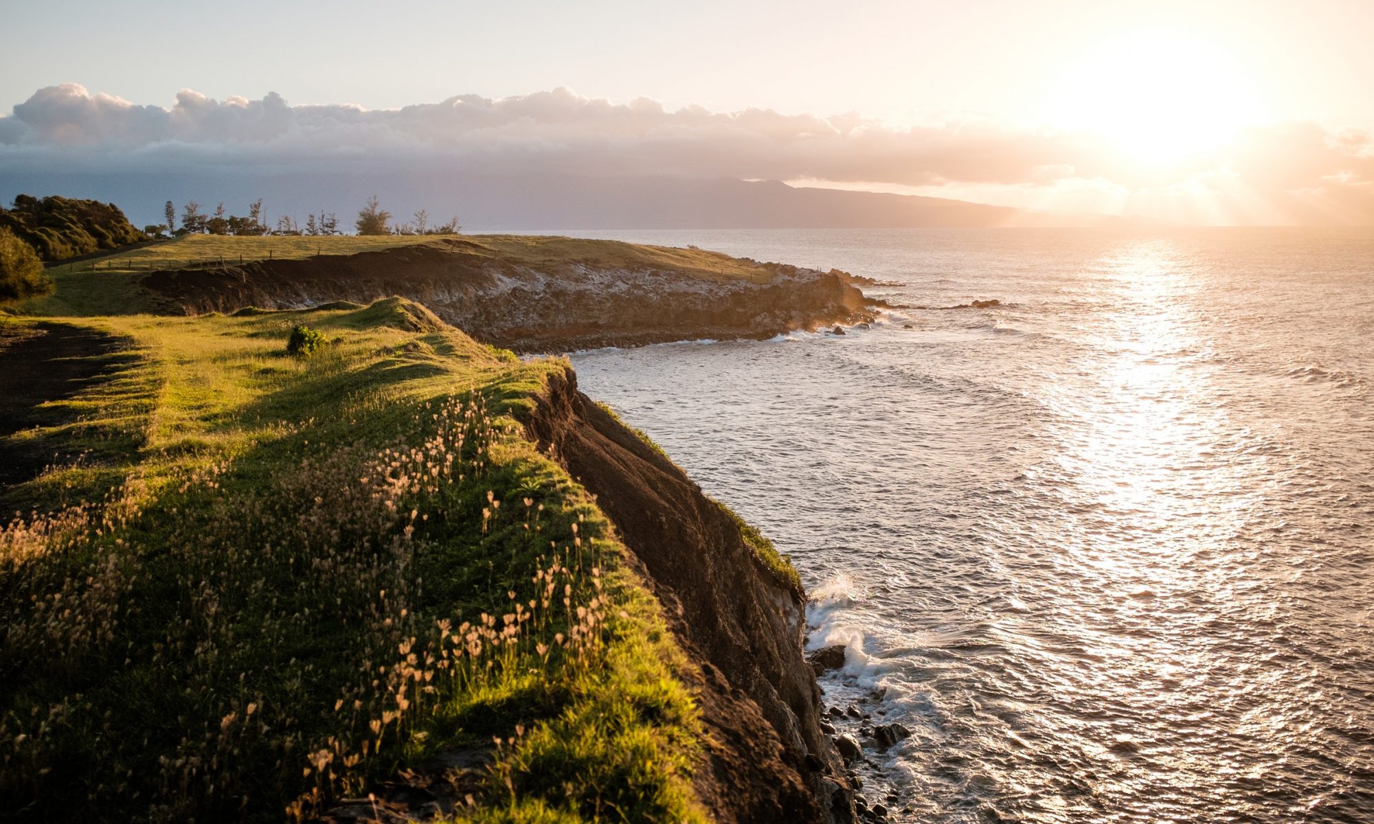 green pasture next to an ocean